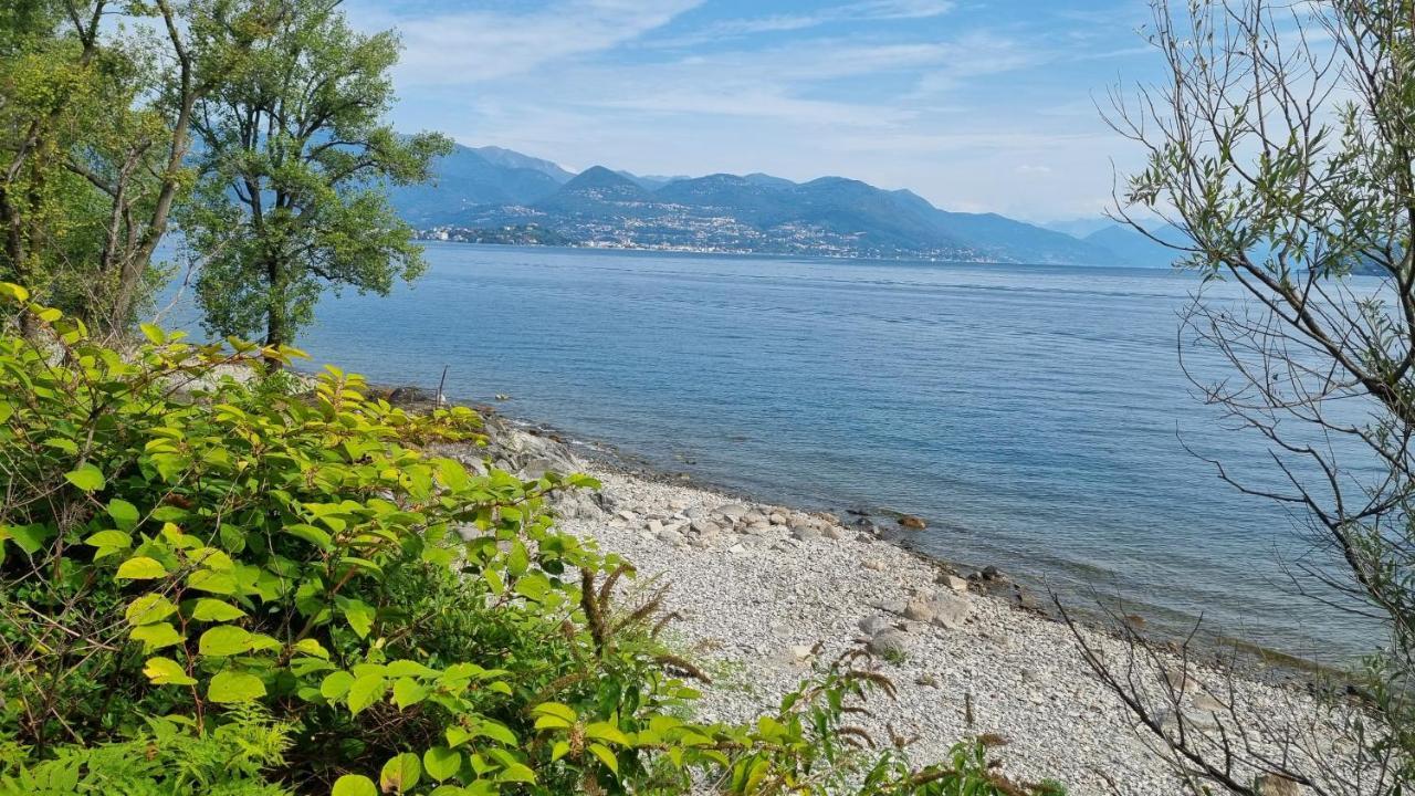 Apartment La Dell'artista Stresa